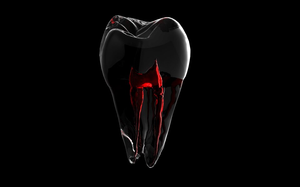 Tooth 3d model root