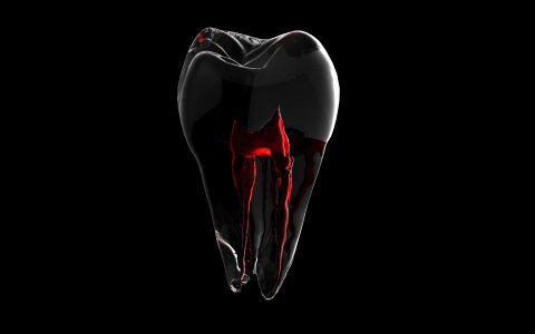 Tooth 3d model root