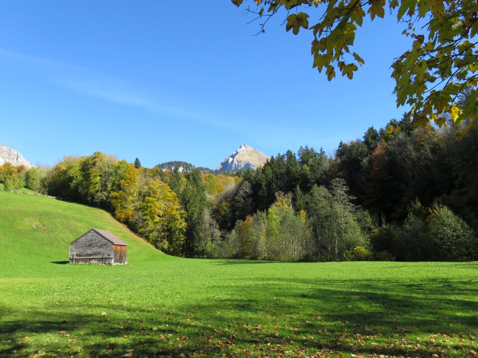 Switzerland mountains wildhaus