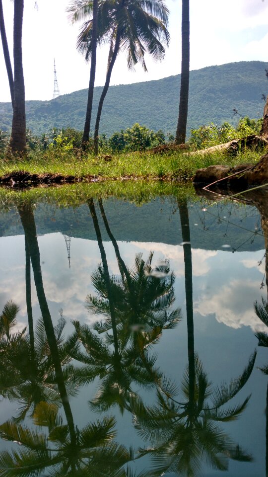 Hills mirror