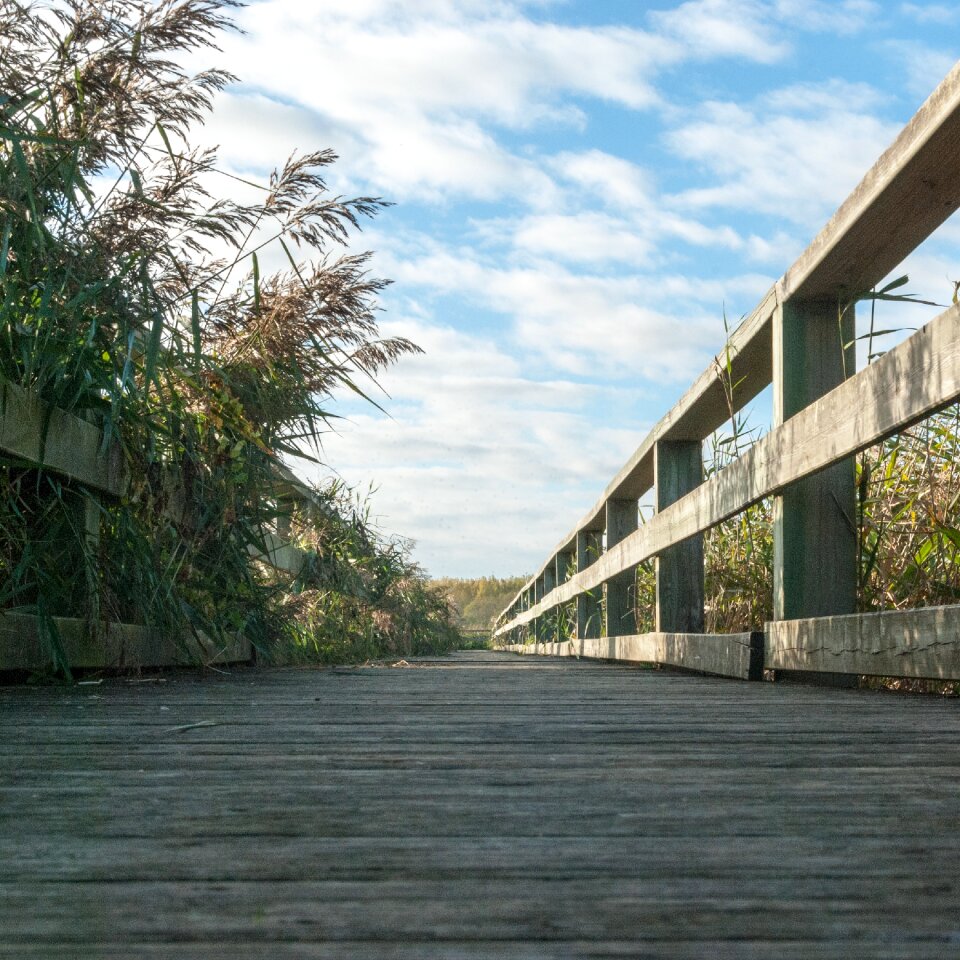 Nature trail hiking