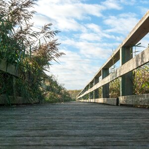 Nature trail hiking