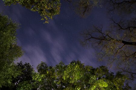 Night starlight shiny