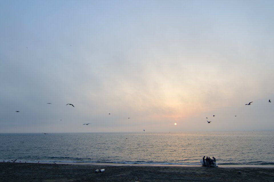 Beach dawn
