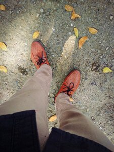Leaf brown clasic