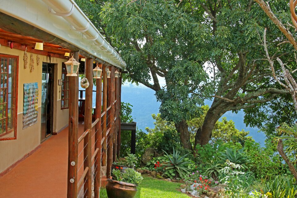 Nature tree garden