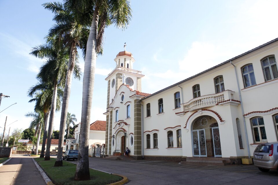 Church catholic palm tree