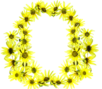 Frame circle border