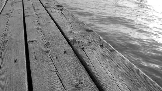 Wood water the water level