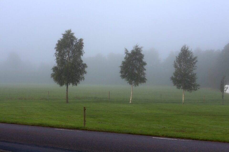 Autumn nature sweden