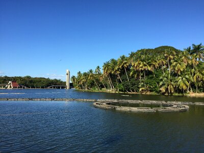Parque tabasco villahermosa lagoon of the illusions