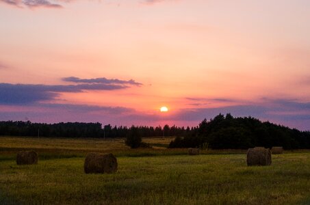 Evening straw hay