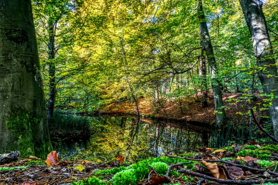 Mood contrast hdr