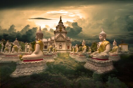 Asia brown buddha