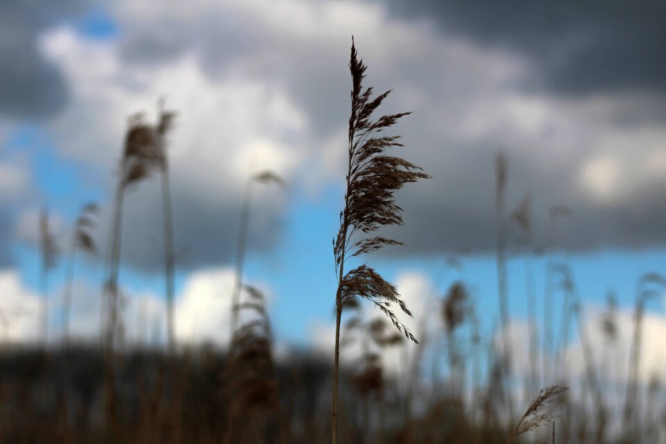 Spooky storm background