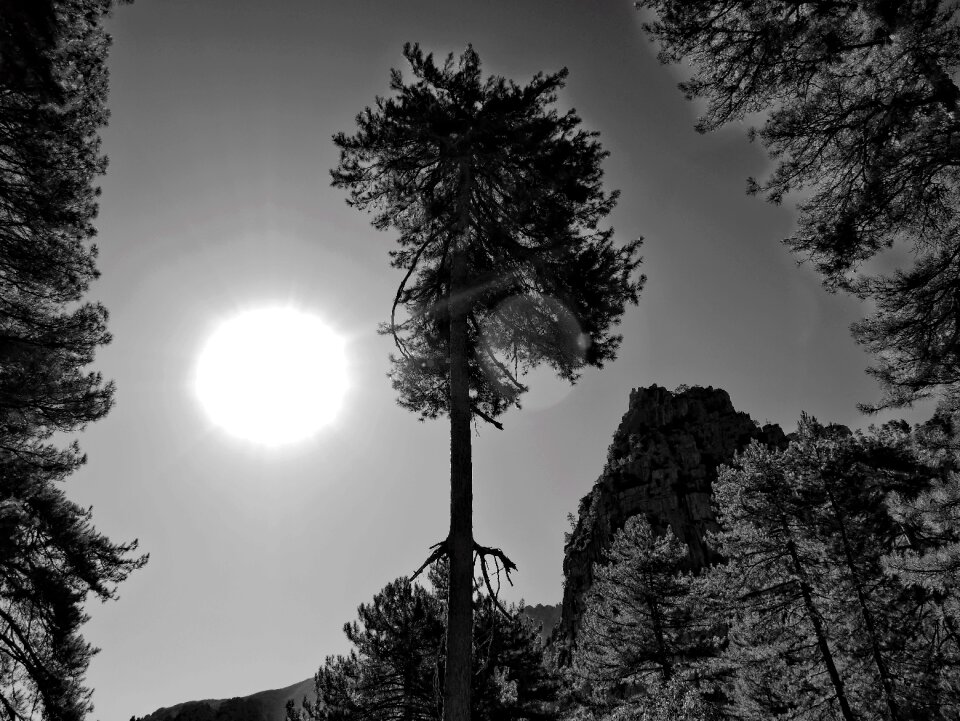 Sun structure abstract