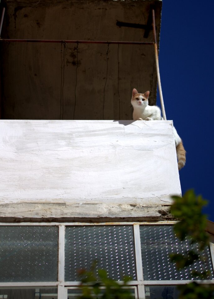 Balcony height white