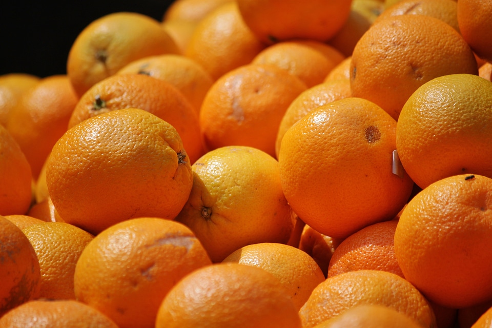 Fruit vitaminhaltig nutrition