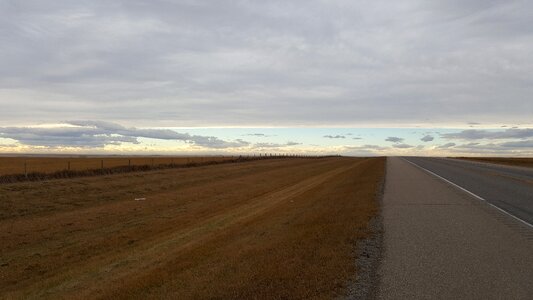Field wheat prairies