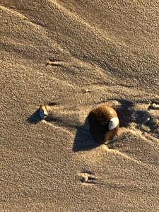 Sand sea summer photo