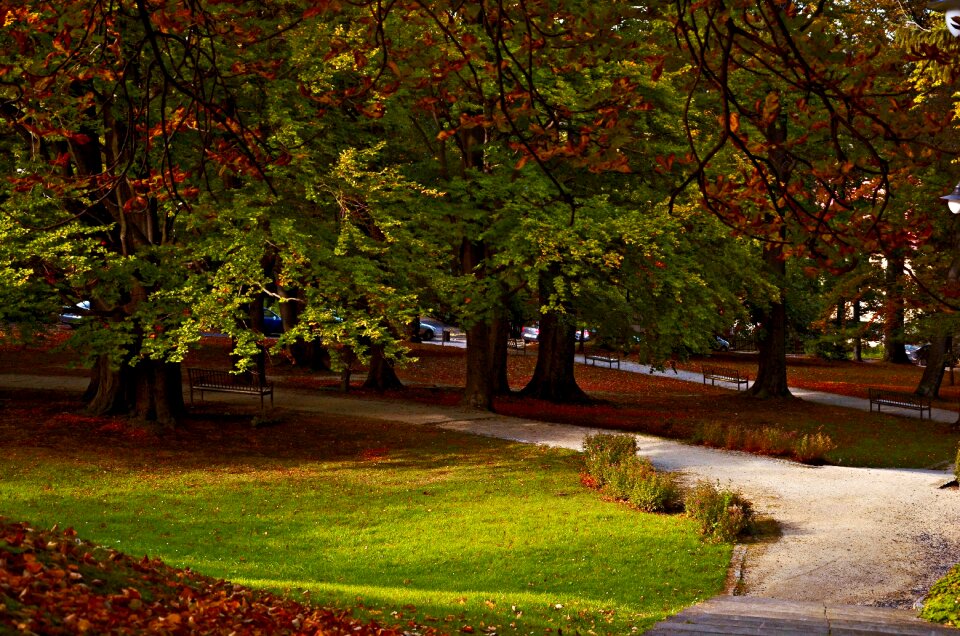 Poland świeradów-zdrój spa park
