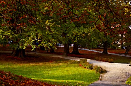 Poland świeradów-zdrój spa park