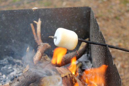 Marshmallows fried fire photo