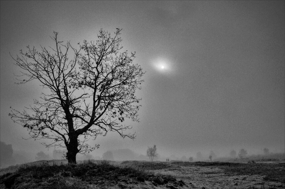 Loneliness nature landscape