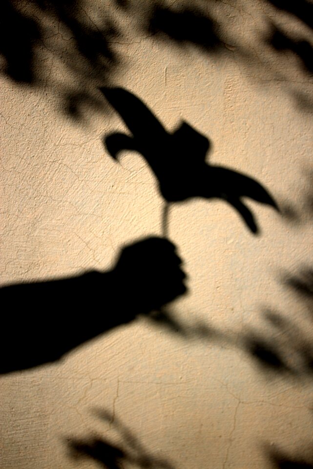 Sun hand silhouette