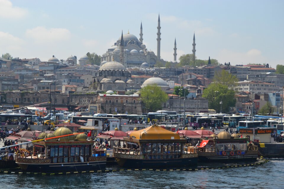Istanbul fish bread throat