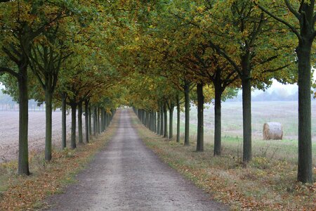 Autumn landscape walk