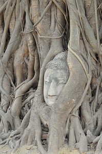 Tree sculpture stonework