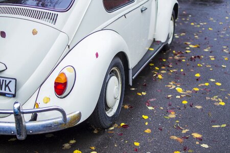 Green symbol volkswagen