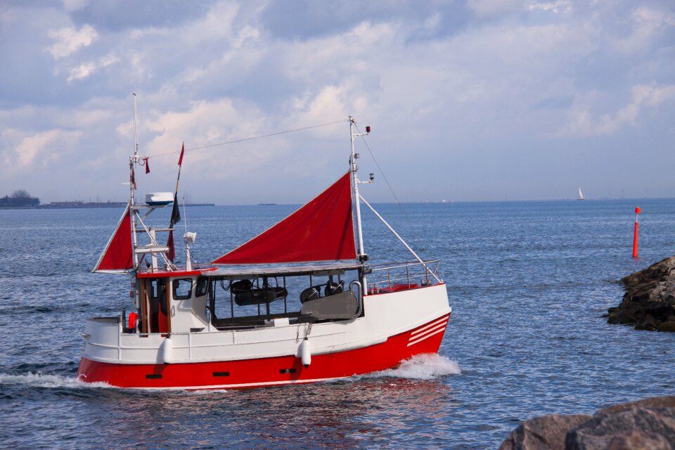 Sailing sail fish