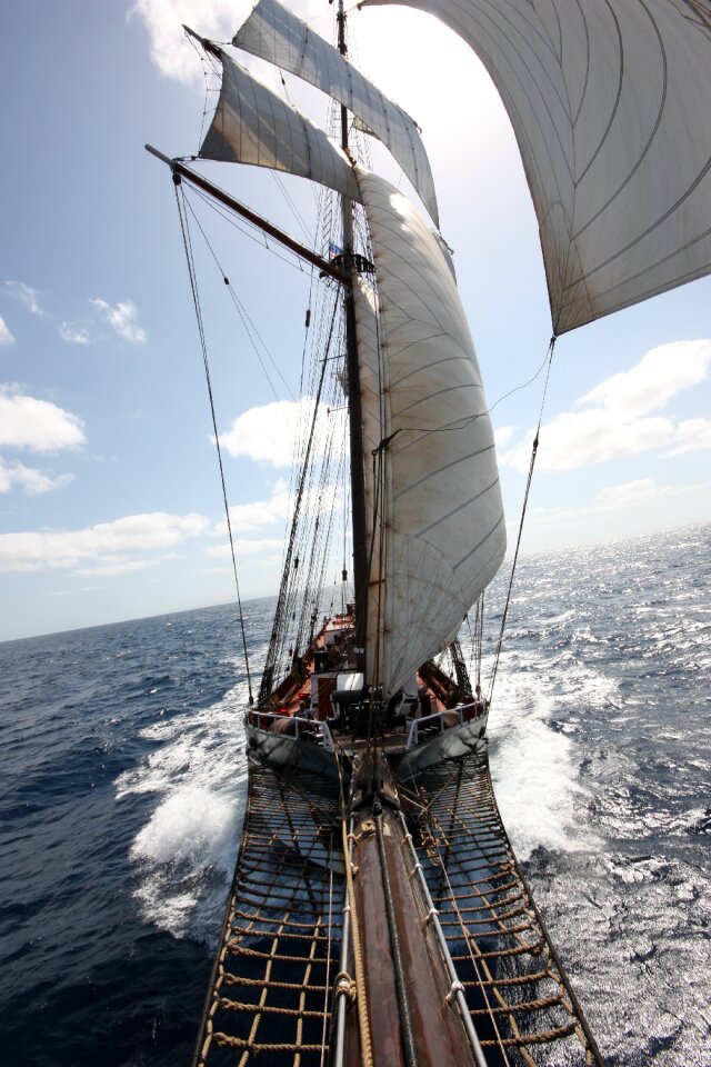 Oosterschelde classic sailing