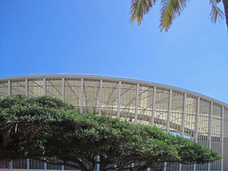 Architecture modern vegetation