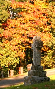 Autumn halloween orange