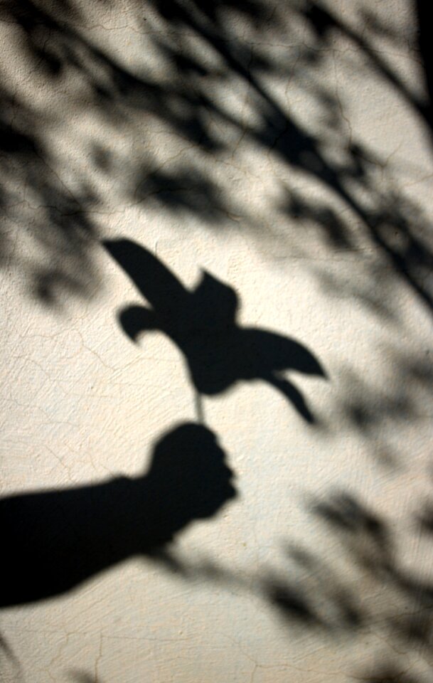 Sun hand silhouette