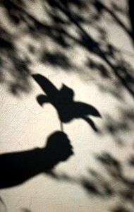 Sun hand silhouette