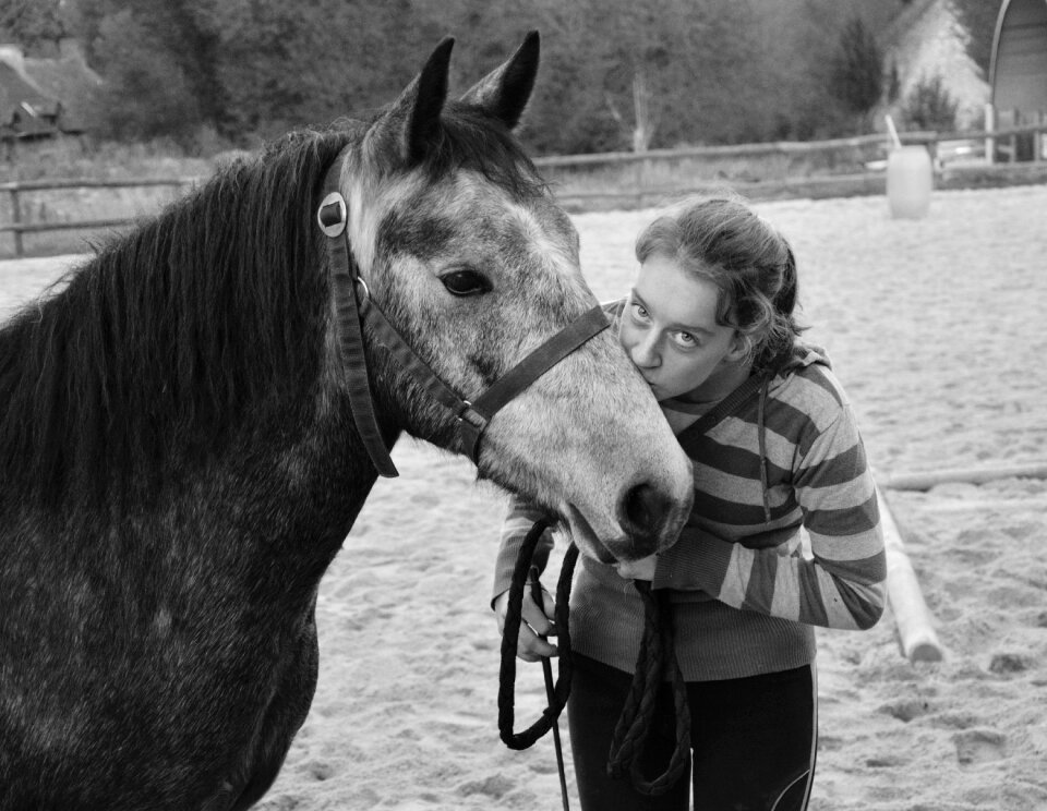 Horse girl young woman