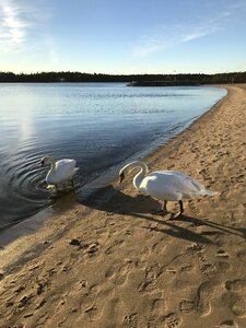 Sea sun finnish