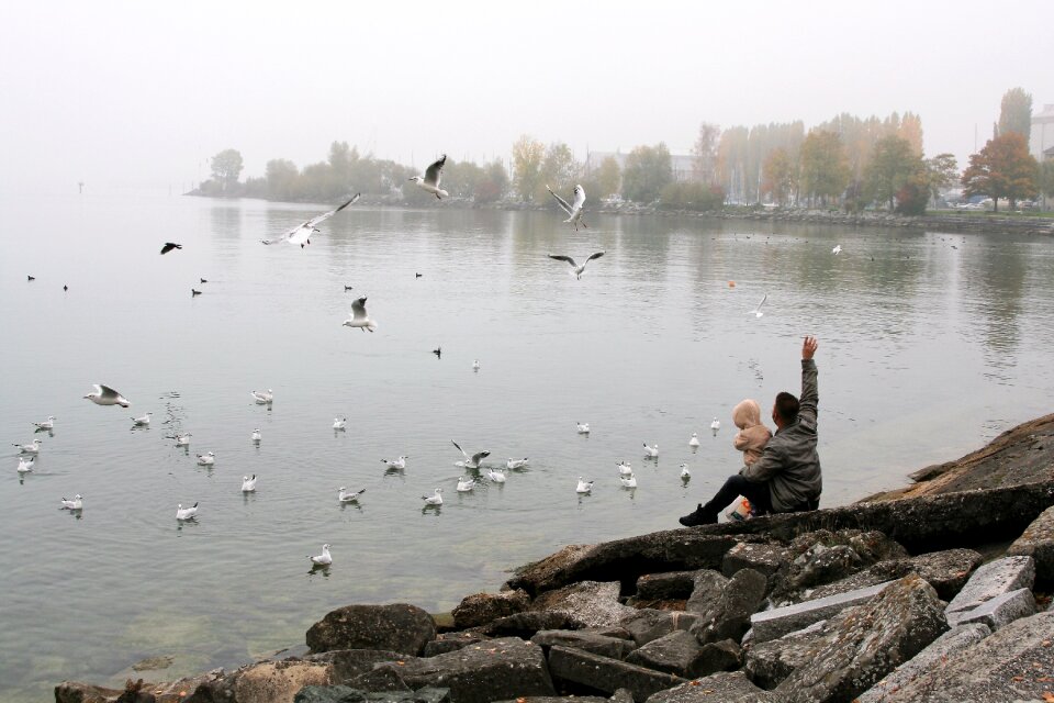 The seagulls father toddler