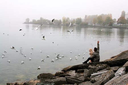 The seagulls father toddler photo