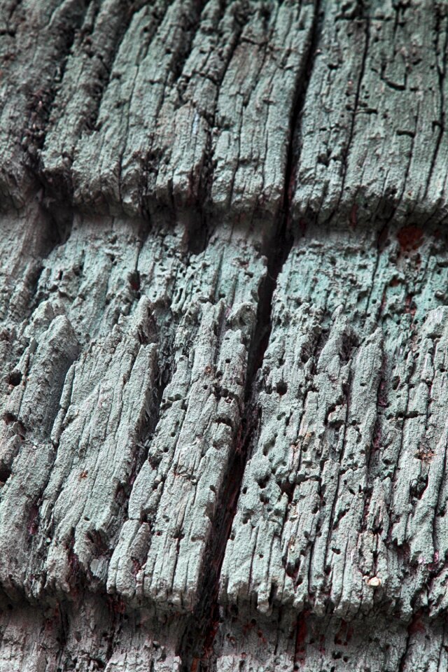 Weathered wood fachwerkhaus photo