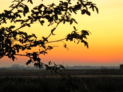 Sylt evening landscapes photo