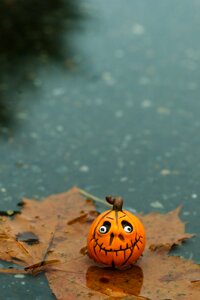 Autumn fall puddle