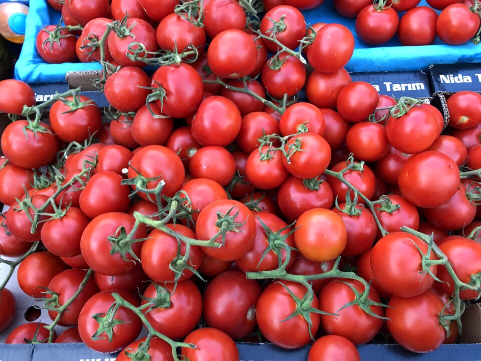 Tomato tomatoes vegetables