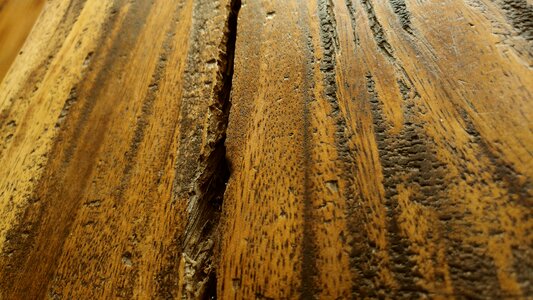 Nature pattern texture