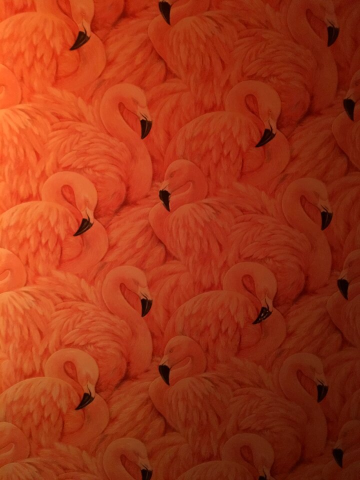 Tropical design bird