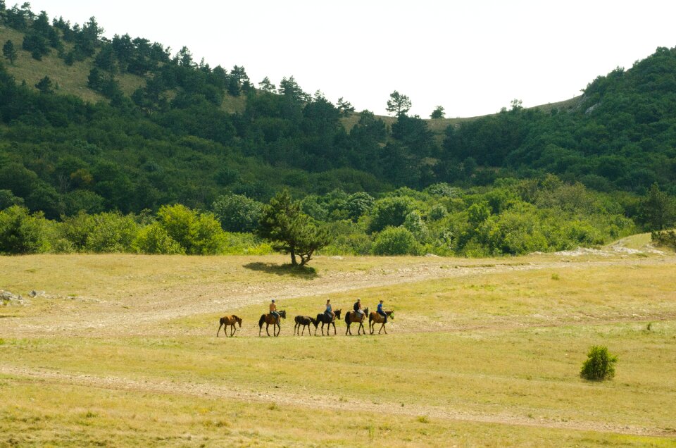 Crimea alushta landscape forest